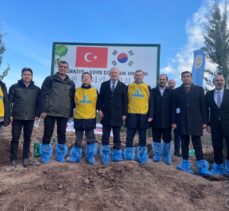 Pendik'te Türkiye-Kore Dostluk Ormanı'nda 50 bin fidan toprakla buluştu
