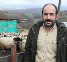 Samsun'da kaybolan 130 küçükbaş hayvanı drone ile bulunan çiftçinin sevinci