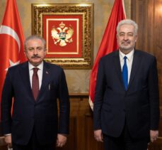 TBMM Başkanı Şentop, Karadağ Başbakanı Krivokapiç ile görüştü