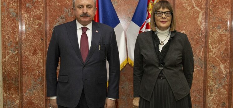 TBMM Başkanı Şentop, Sırbistan Kültür ve Enformasyon Bakanı Gojkovic ile görüştü