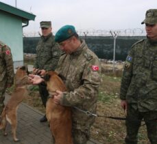 Türkiye, Kosova'ya arama-kurtarma çalışmaları için K9 köpekleri bağışladı