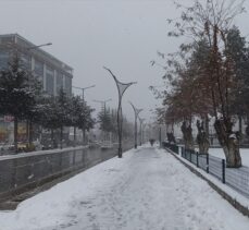 Van, Muş ve Bitlis'te 165 yerleşim birimine ulaşım sağlanamıyor