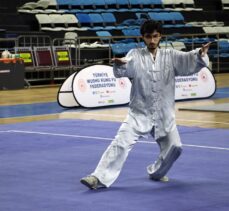 Wushu Geleneksel Türkiye Şampiyonası, Sakarya'da başladı
