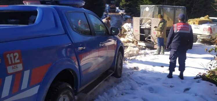 Düzce'de yaban hayvanları için karla kaplı yaylalara 1 ton yem bırakıldı
