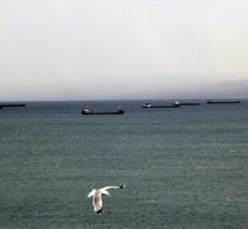 Yük gemileri kuvvetli rüzgar nedeniyle  Sinop doğal limanına demirledi