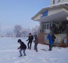 Adana'nın yüksek kesimlerinde kar etkili oluyor
