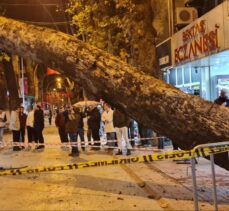 Bursa'da devrilen ağaç iş yerlerine zarar verdi