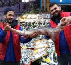 Edirneli balıkçıların Karadeniz'de yakaladığı köpek balığı pazarda sergileniyor