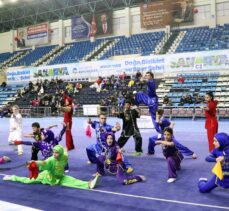 .Geleneksel Wushu Kung Fu Türkiye Şampiyonası Sakarya'da tamamlandı