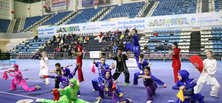 .Geleneksel Wushu Kung Fu Türkiye Şampiyonası Sakarya'da tamamlandı