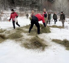 Kar yağışının etkili olduğu Ardahan'da doğaya yem bırakıldı