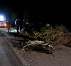 Kırklareli'nde ağaca çarpan otomobildeki çocuk hayatını kaybetti