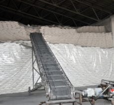 Muş'ta 255 bin ton pancardan 37 bin 500 ton şeker üretildi