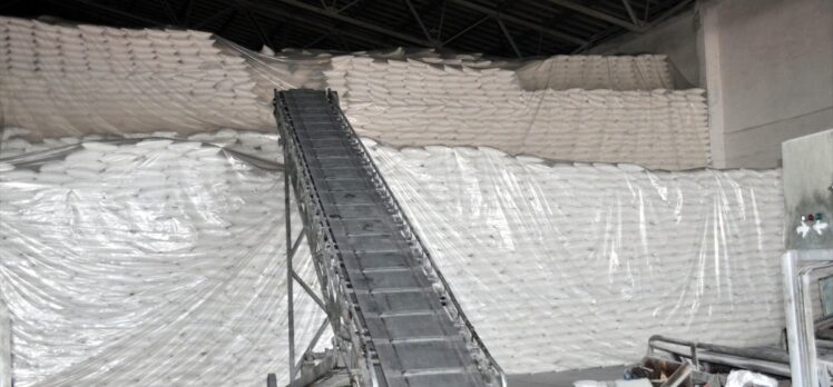 Muş'ta 255 bin ton pancardan 37 bin 500 ton şeker üretildi