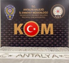 Antalya'da tarihi eser operasyonunda bir şüpheli yakalandı