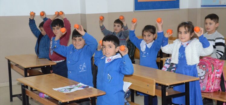 Aydın'da öğrenciler, okul bahçesinde yetiştirdikleri meyveleri Sarıkamışlı çocuklara gönderdi