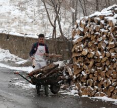 Van ve Bitlis'te kar yağışı etkisini gösterdi