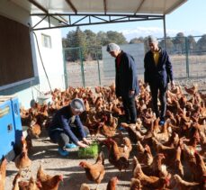 Erzincan'da lise öğrencileri gezen tavuk yumurtası ve sebze üretiyor