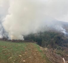 Kahramanmaraş'ta ağaçlandırma sahasında çıkan yangın söndürüldü