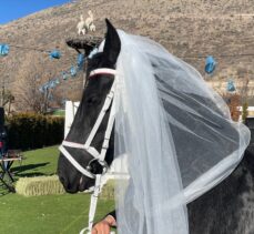 Kayseri'de çiftliğin yeni üyesi atlara “düğün” yaptılar