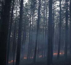 GÜNCELLEME 2 – Kaz Dağları'nda çıkan örtü yangını kontrol altına alındı