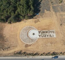 Uşak'ta 30 bin 600 fidanla “Türkiye Yüzyılı” yazıldı