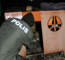 Uşak'ta polis ekipleri sokak hayvanlarını besledi