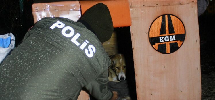 Uşak'ta polis ekipleri sokak hayvanlarını besledi