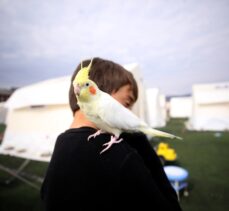 Depremde seslerine uyandığı kuşlarıyla çadır kentte yaşıyor