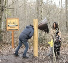 Ormanya'ya gelen ziyaretçiler, doğanın sesini akustik ortamda dinliyor