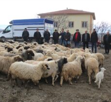 Tokat'ta yangında hayvanları telef olan çiftçiye 120 koyun ve keçi verildi