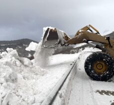 Türkgözü-Posof-Damal kara yolunda karla mücadele çalışması sürüyor