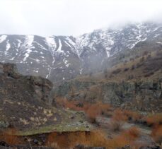 Aras Dağları'nda karlar erimeye başladı