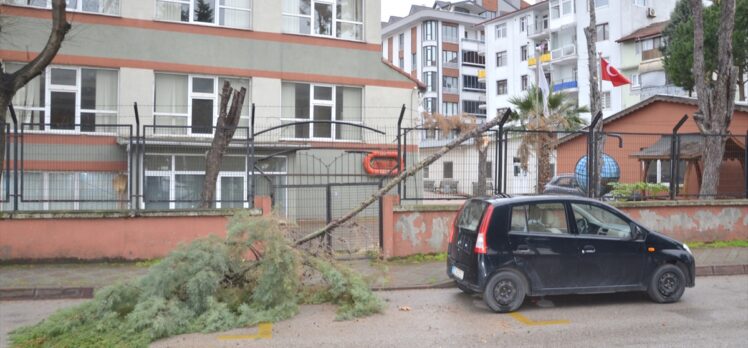 Sakarya ve Kocaeli'de şiddetli rüzgar etkili oldu