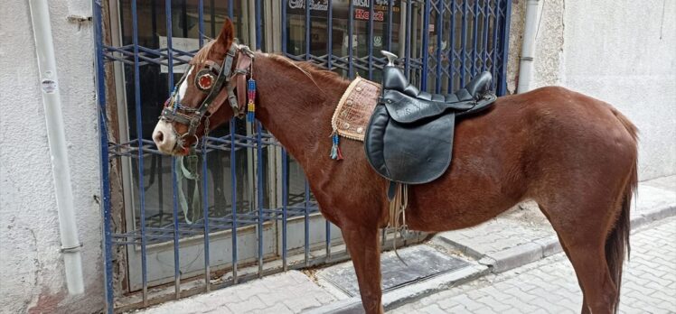 Konya'da alkollü olarak atıyla caddede dolaşan kişiye 10 bin 111 lira ceza