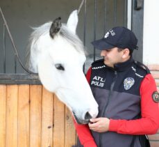 Atlı polisler toplumun huzur ve güvenliği için her an göreve hazır