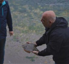 İzmit Körfezi'nde ağlara takılan çipli kalkan yeniden denize bırakıldı