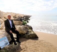 Mersin'de Akdeniz fokları için uyarı tabelası dikildi