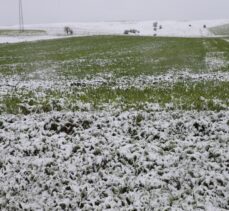 Tokat'ın yüksek kesimlerinde kar yağışı etkili oldu
