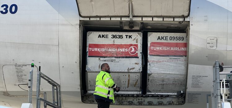 Almanya'daki oy pusulaları Türkiye'ye gönderildi