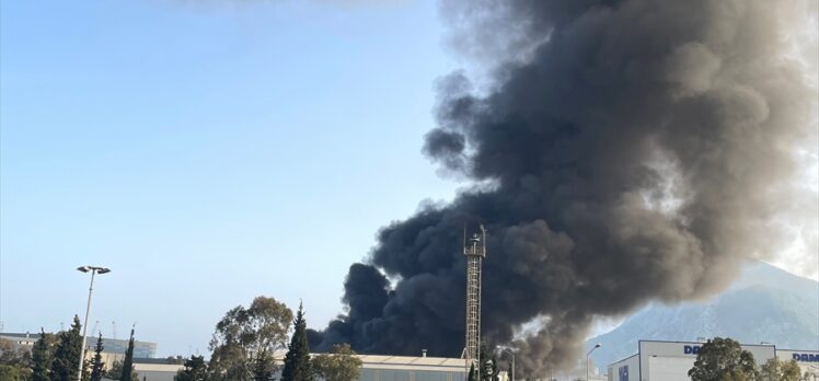 GÜNCELLEME – Antalya Serbest Bölge'deki yat firmasında çıkan yangına müdahale ediliyor