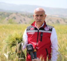 Bakan Kirişci 21 milyon ton buğday rekoltesi beklendiğini açıkladı: