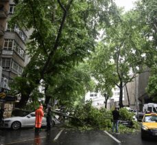 Ankara'da sağanak nedeniyle devrilen ağaç 3 araçta hasara yol açtı