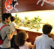 Gaziantep'te Tropik Uğur Böceği Bahçesi açıldı