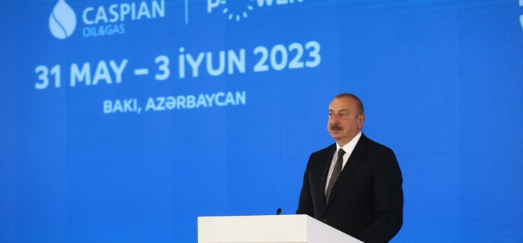 İlham Aliyev: “TANAP ve TAP genişletilmelidir”