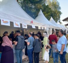 İsviçre'de 3. Türk Kültür Festivali başladı