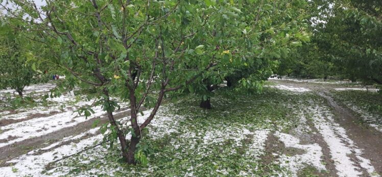 İzmir ve Denizli'de dolu yağışı etkili oldu