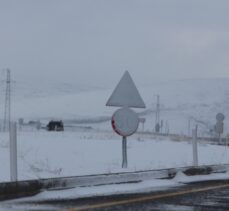 Kars ve Ardahan'da mayısta kar yağdı