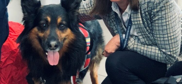Kolombiya'dan Türkiye'ye gelen arama kurtarma köpeği “Aaron” hayatını kaybetti