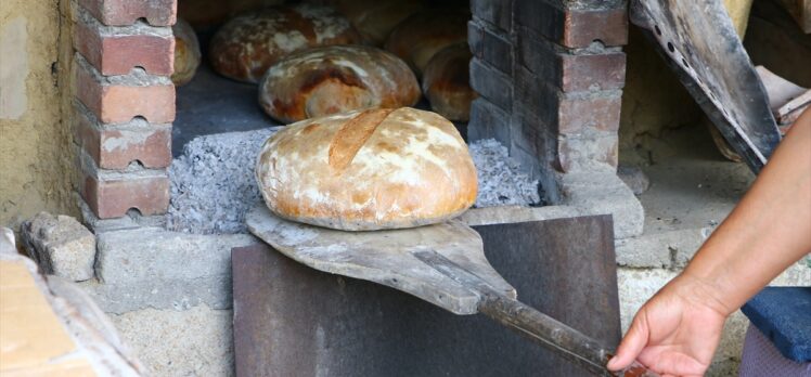 Tekirdağ'da kadınlar taş fırında pişirdikleri köy ekmeğiyle aile bütçesine katkı sağlıyor